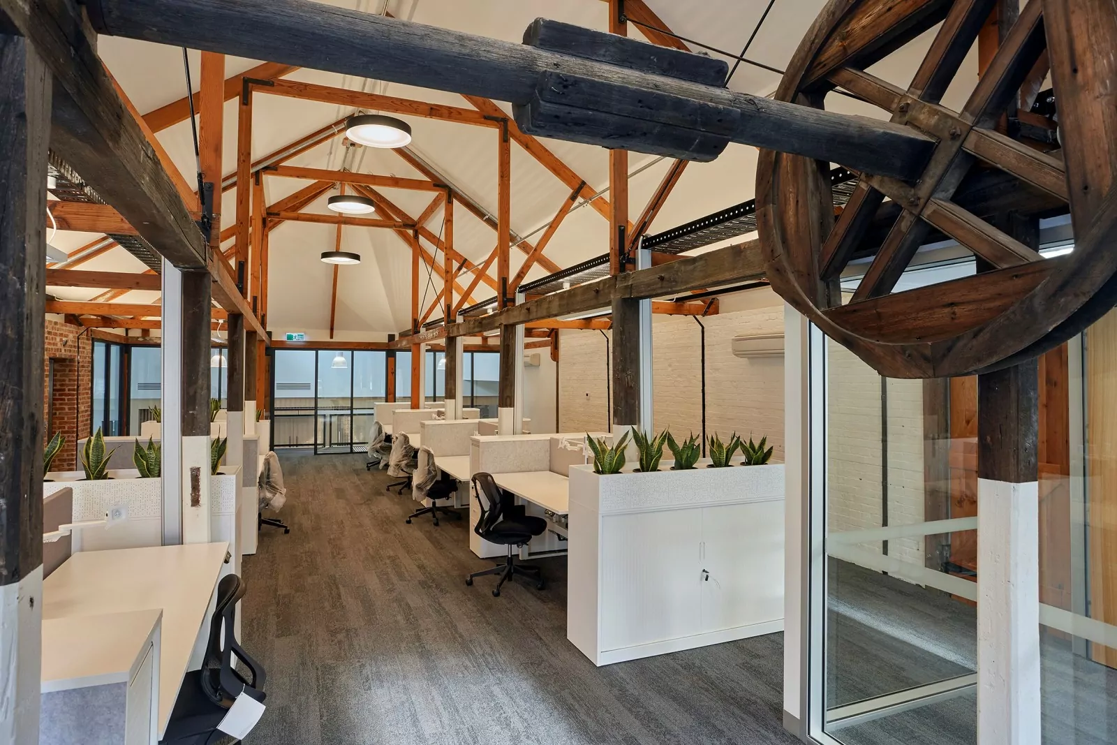Heritage timber fixtures overhang set of furnished modern white commercial office cubicles.