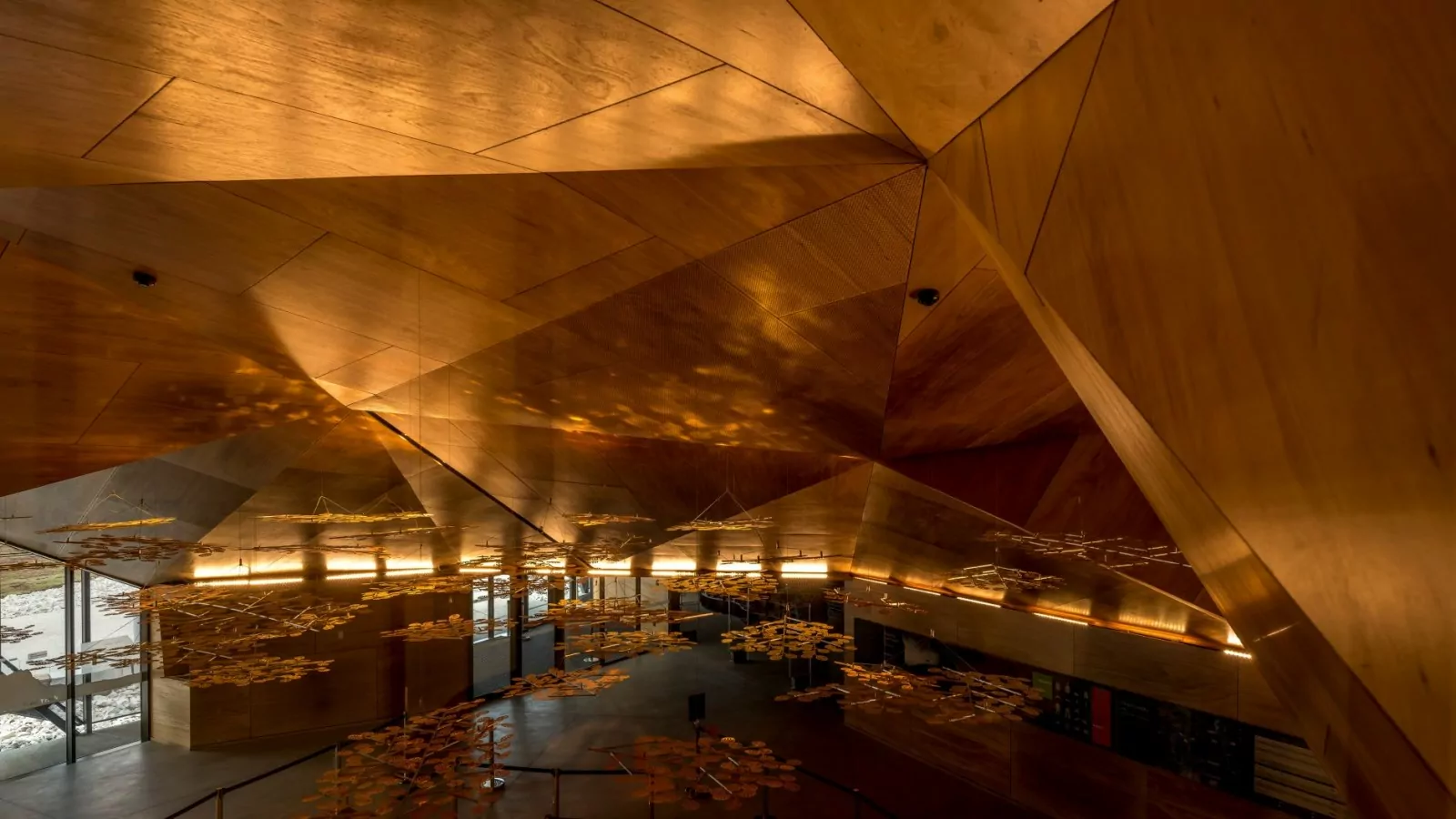 An interior photo of the Cradle Mountain Gateway building. Lights are reflected on the wooden ceiling.