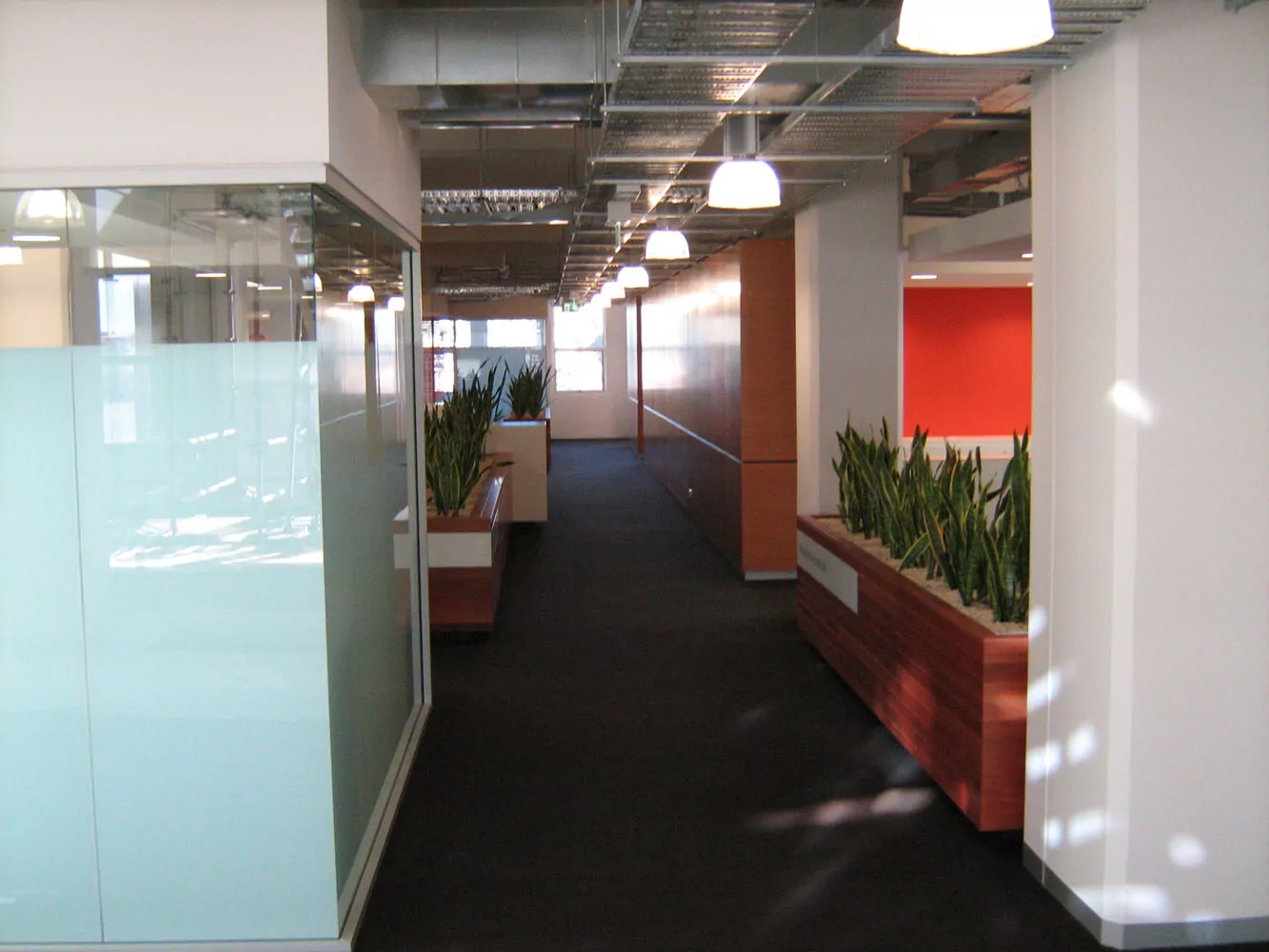 An office corridor with potted plants, frosted glass office windows and a red feature wall in background.