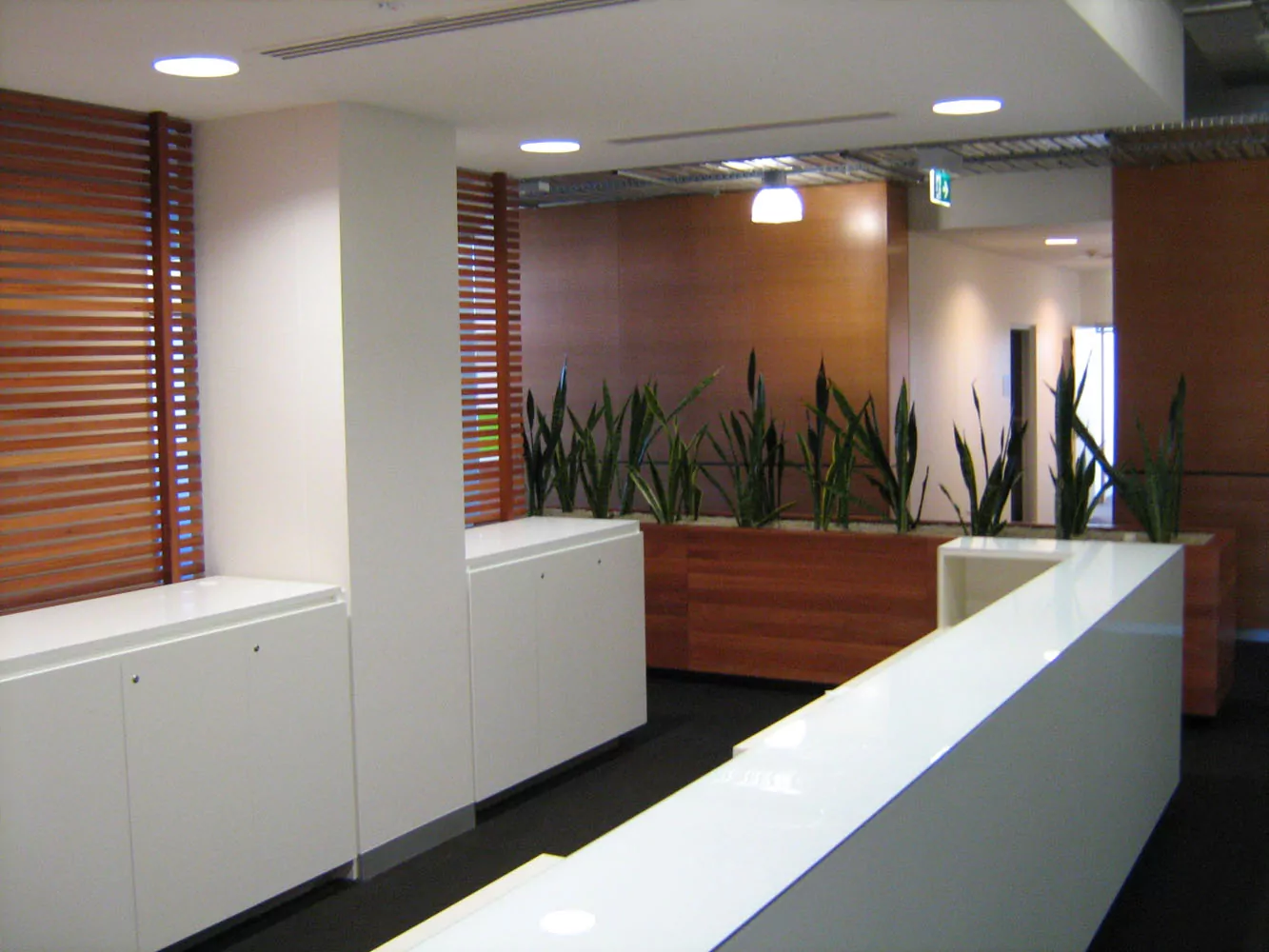 Two rows white cabinets in the BMRI Sydney office lead to potted plants in wood bays.