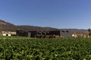 Sisu Wines Production Facility and Tasting Centre